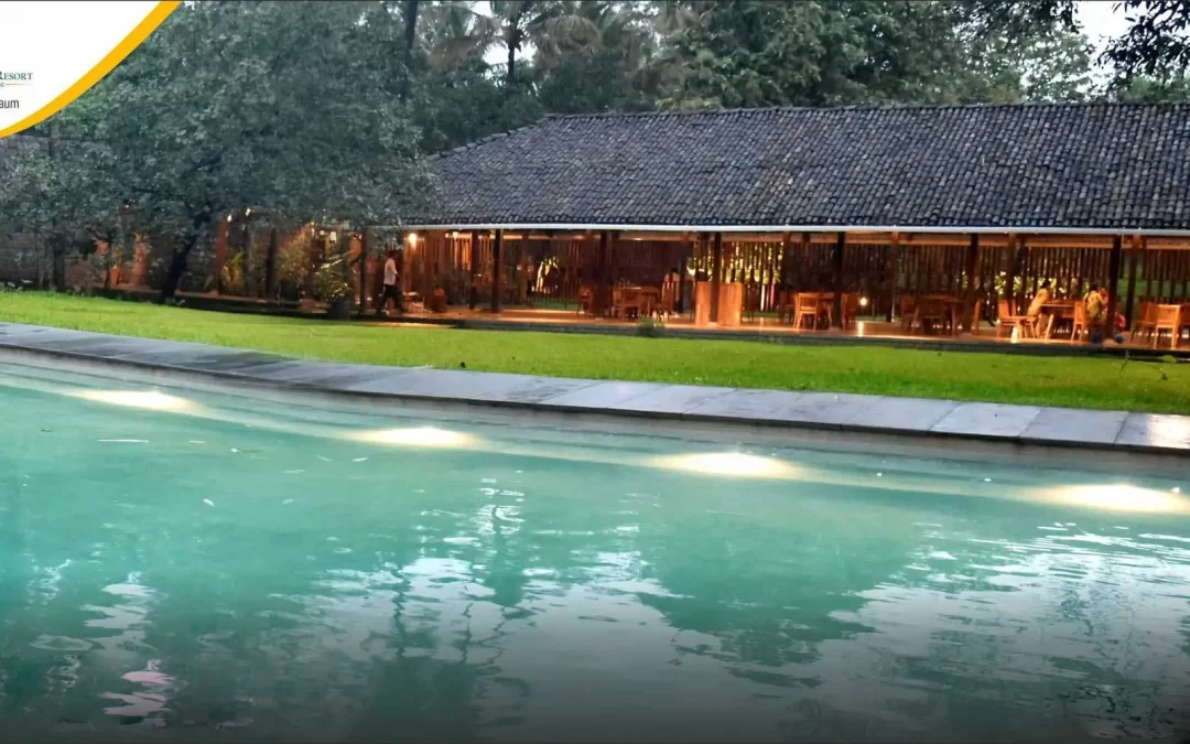 Workation Reimagined: Productivity Meets Peace at The Orchard