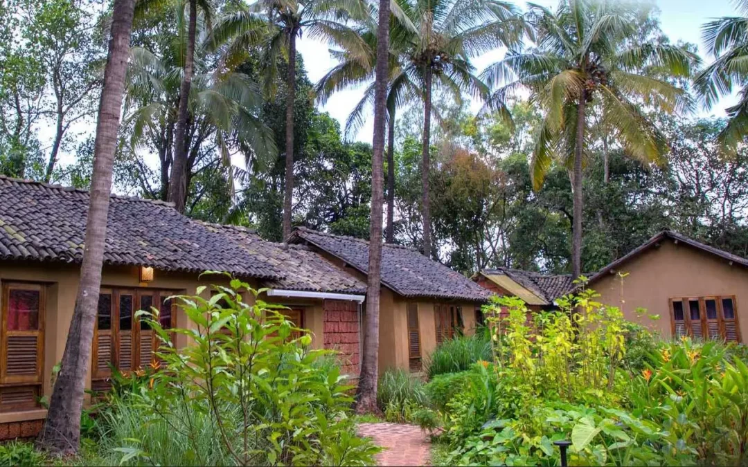 Reconnect with Nature – A Serene Escape at The Orchard Resort