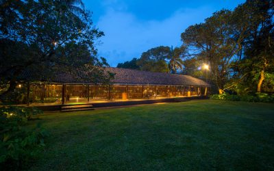 Forest to Fork: A Culinary Journey at Kansa Restaurant