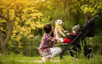 Family Fun & Pet-Friendly Play: How The Orchard Resort Caters to All Ages