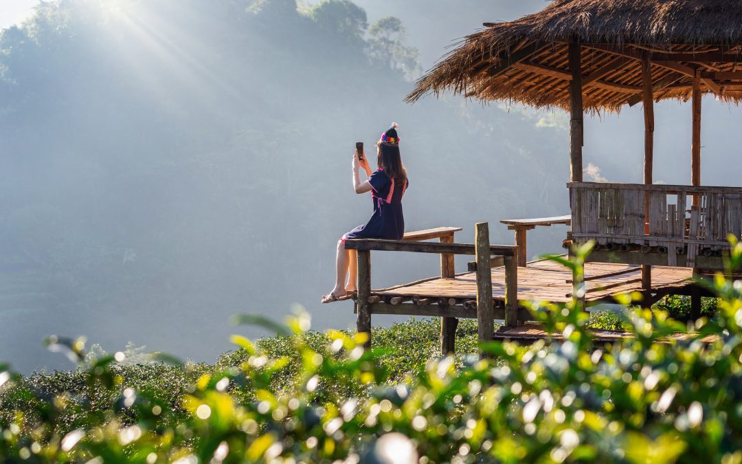 Experience Tranquility at The Orchard Resort — Your Perfect Getaway in Goa