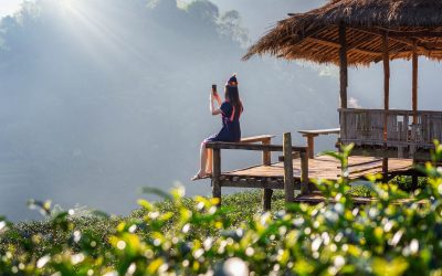 Experience Tranquility at The Orchard Resort — Your Perfect Getaway in Goa