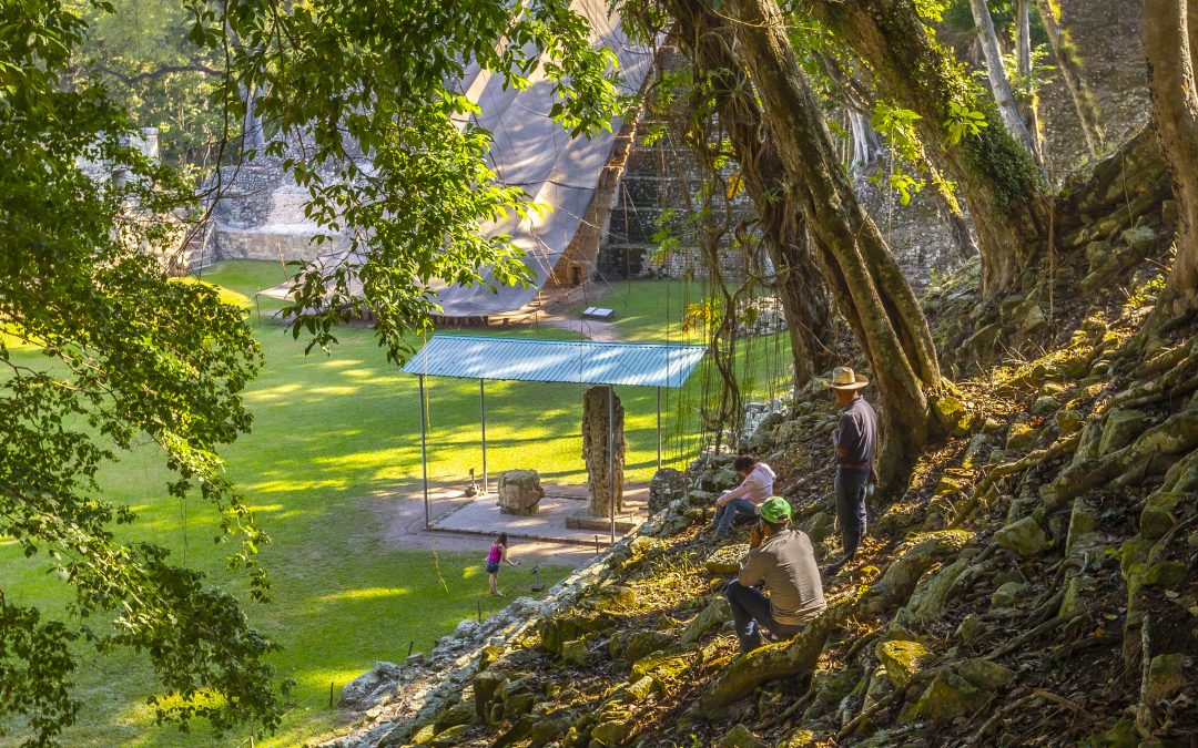 Why The Orchard Resort is the Best Eco-Friendly Resort in Belgaum